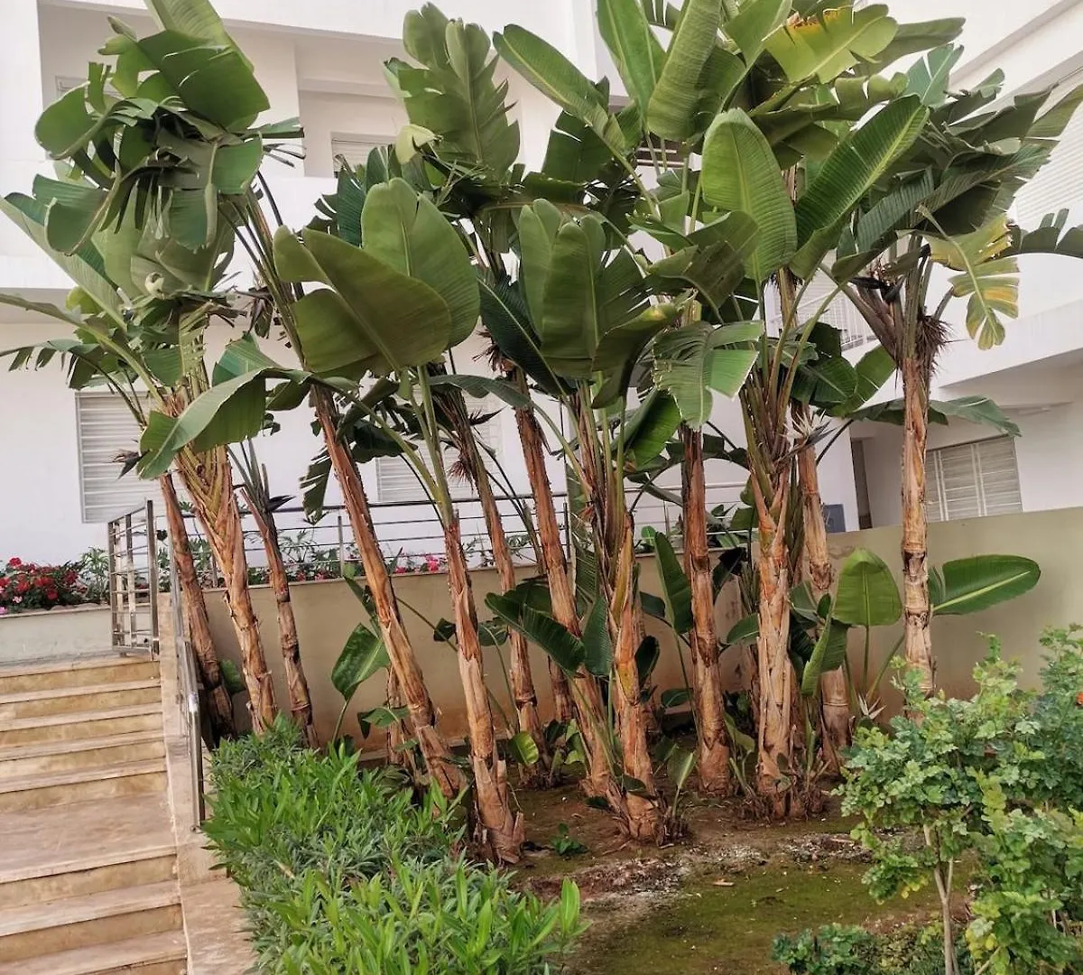 Beautiful Apartment With Pool - Agadir